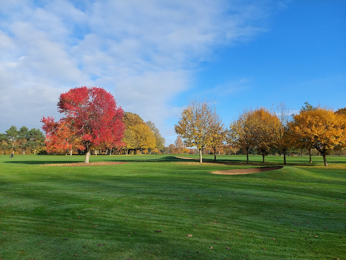 Golf Clubs